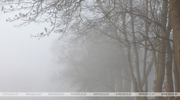 Сыро, туманно и ветрено. Какой будет погода 30 декабря