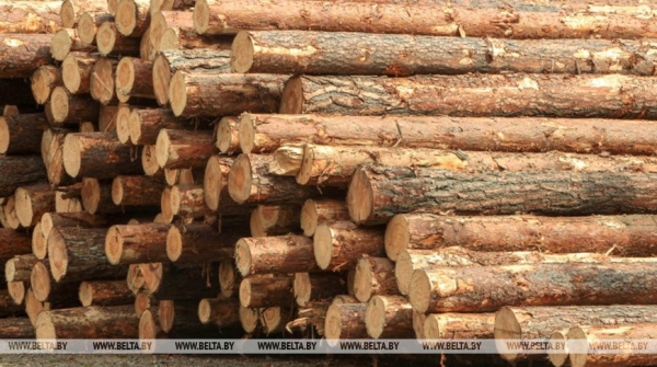 Совмин установил ставки экспортных пошлин на лесоматериалы