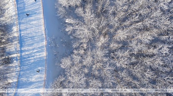 Норвежские лыжники Клэбо и Йохауг одержали победы на "Тур де Ски" 