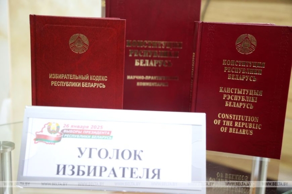 За Лукашенко на выборах в Беларуси проголосовали 86,82% избирателей