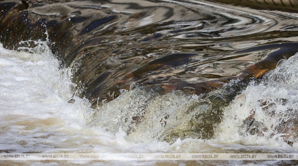 Белгидромет: реки Беларуси практически полностью очистились ото льда