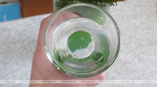 Не просто ресурс, а национальное достояние. Что Лукашенко называет главным полезным ископаемым Беларуси