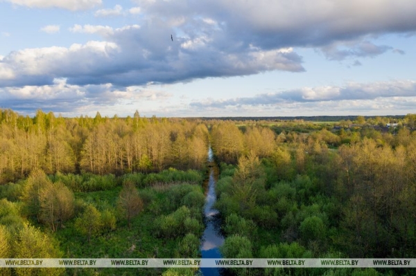 Экотуризм в Беларуси: ученый об удивительной природе страны и сохранении биоразнообразия