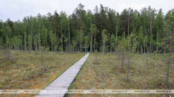 Экотуризм в Беларуси: ученый об удивительной природе страны и сохранении биоразнообразия