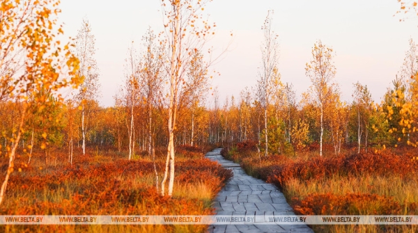 Экотуризм в Беларуси: ученый об удивительной природе страны и сохранении биоразнообразия