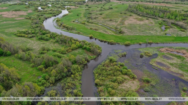 Экотуризм в Беларуси: ученый об удивительной природе страны и сохранении биоразнообразия