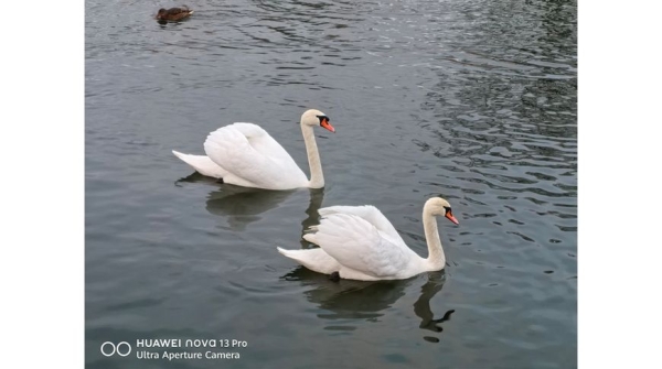 Обзор смартфона Huawei nova 13 Pro: селфи-камера на 60 Мп и быстрая зарядка на 100 Вт