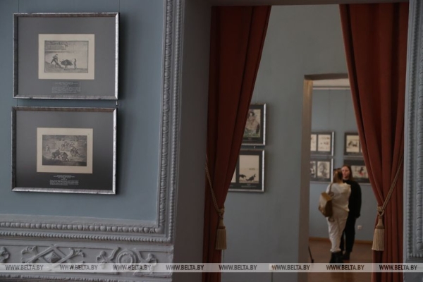 Могилевчан приглашают познакомиться с искусством корриды в работах испанских художников Гойи и Пикассо 