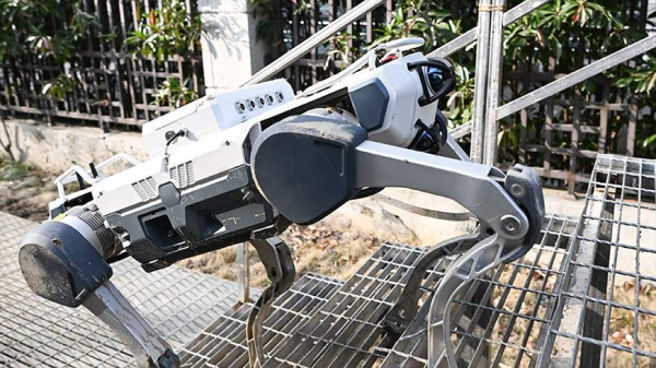 Роботов-собак для борьбы с пожарами начнут использовать в Турции