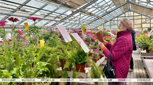 Цветы с ароматом кока-колы и орехов. Чем удивила выставка красивоцветущих растений в Ботаническом саду