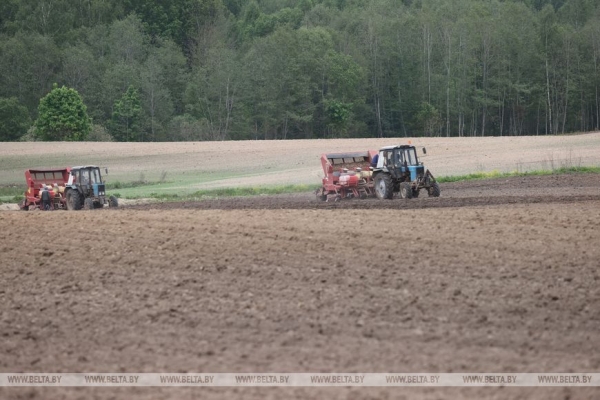 Картофель начнем сажать в апреле? Эксперты о том, как теплая зима без снега повлияла на работу аграриев 