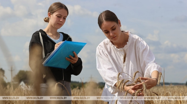 "Практика занимает 60-70% учебных часов". Минсельхозпрод о подготовке кадров для агросектора