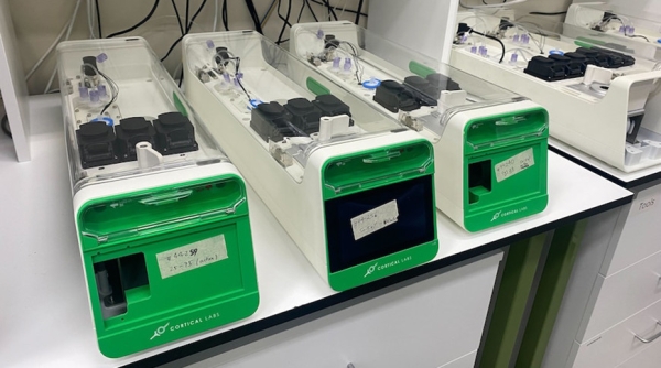 Австралийская компания создала компьютер, работающий на клетках мозга человека