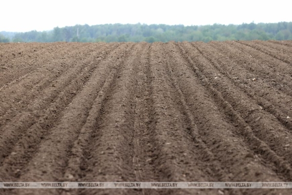 Картофель начнем сажать в апреле? Эксперты о том, как теплая зима без снега повлияла на работу аграриев 