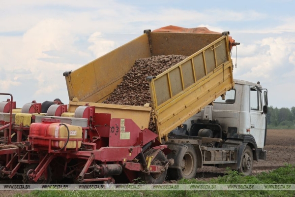 Картофель начнем сажать в апреле? Эксперты о том, как теплая зима без снега повлияла на работу аграриев 