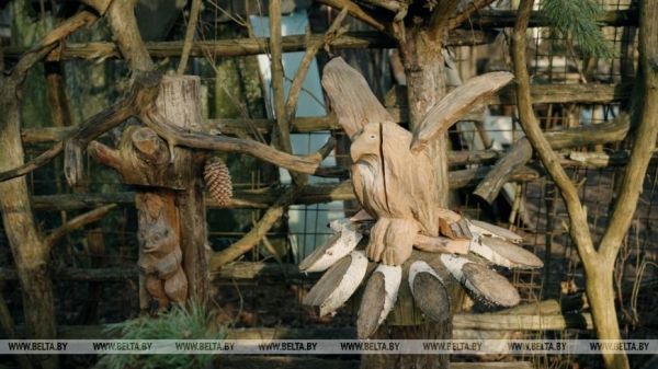 "Бабушка считала, что я "раблю абы што". Мастер-самоучка сделал из деревни музей и стал звездой TikTok