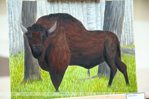 Новую экспозицию инклюзивного проекта БСЖ "Другая глубина" представили в Минске 