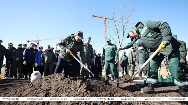 "Идеальная технология!" Лукашенко посадил первое дерево в парке Народного единства