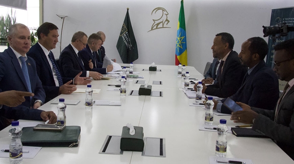 Атомная энергетика и освоение месторождений. О чем еще договорился Рыженков во время визита в Эфиопию