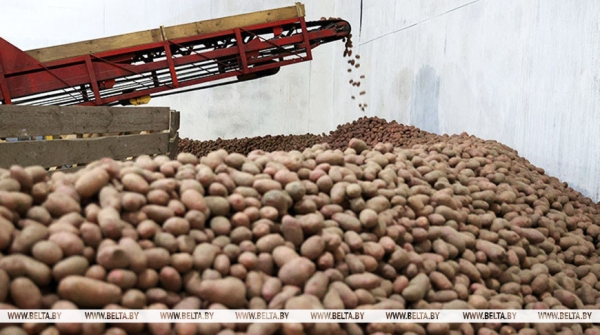 На межсезонье 2025-2026 годов в стабфонды планируют заложить около 122 тыс. тонн сельхозпродукции На межсезонье 2025-2026 годов в стабфонды планируют заложить около 122 тыс. тонн сельхозпродукции