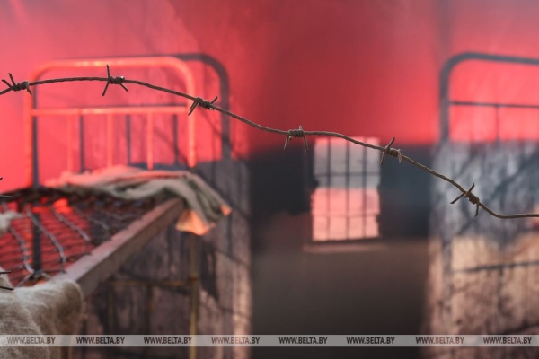 "Иди и смотри, чувствуй, переживай". Шикунец о фильмах "Лагеря смерти" и "Сожженные деревни"