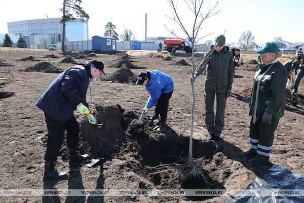 "Идеальная технология!" Лукашенко посадил первое дерево в парке Народного единства