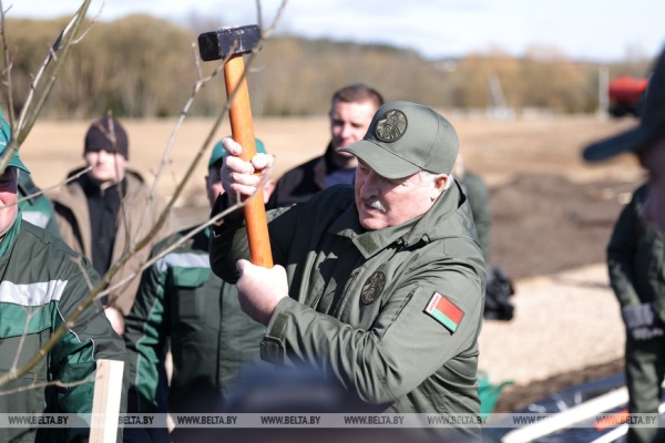 "Идеальная технология!" Лукашенко посадил первое дерево в парке Народного единства