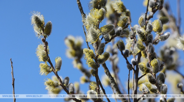 Рябов о погоде на неделю с 14 по 20 апреля Рябов о погоде на неделю с 14 по 20 апреля