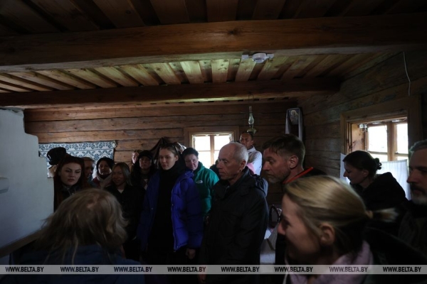 Около 10 тыс. саженцев сосны и ели. Команда БЕЛТА помогла восстановить лес в Столбцовском районе