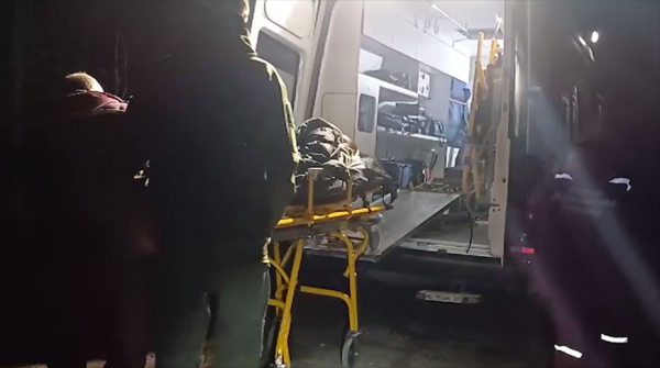 Людей травят собаками, избивают и грабят. СК об уголовных делах по факту жестокости к мигрантам Людей травят собаками, избивают и грабят. СК об уголовных делах по факту жестокости к мигрантам