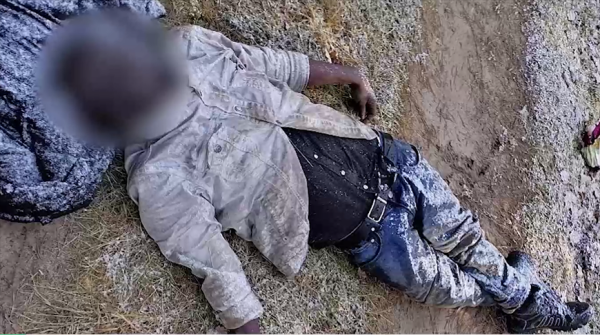 Людей травят собаками, избивают и грабят. СК об уголовных делах по факту жестокости к мигрантам Людей травят собаками, избивают и грабят. СК об уголовных делах по факту жестокости к мигрантам