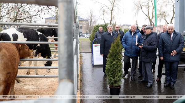 Брестская область экспортирует продукты питания и сельхозсырье в 48 стран