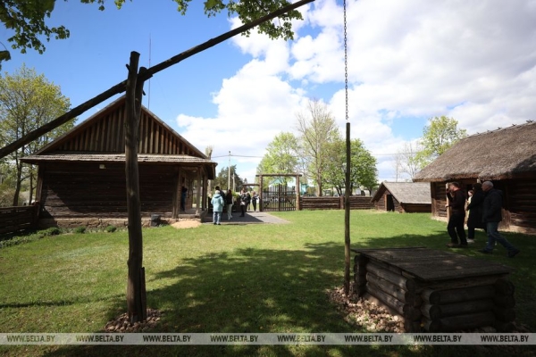 Около 10 тыс. саженцев сосны и ели. Команда БЕЛТА помогла восстановить лес в Столбцовском районе