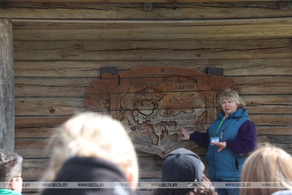 Около 10 тыс. саженцев сосны и ели. Команда БЕЛТА помогла восстановить лес в Столбцовском районе