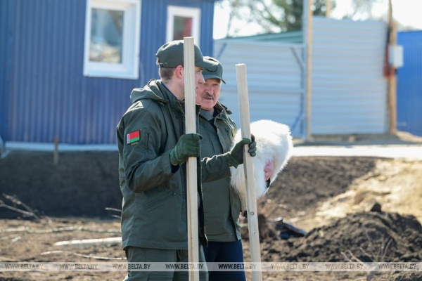 "Идеальная технология!" Лукашенко посадил первое дерево в парке Народного единства
