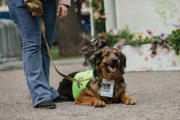 Москва ждет гостей из Беларуси на самый добрый весенний фестиваль - "Пасхальный дар" 