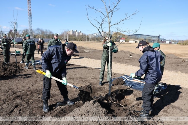 "Идеальная технология!" Лукашенко посадил первое дерево в парке Народного единства
