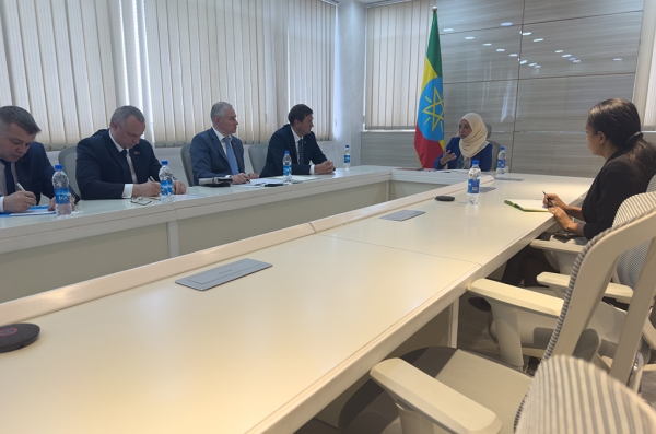 Атомная энергетика и освоение месторождений. О чем еще договорился Рыженков во время визита в Эфиопию