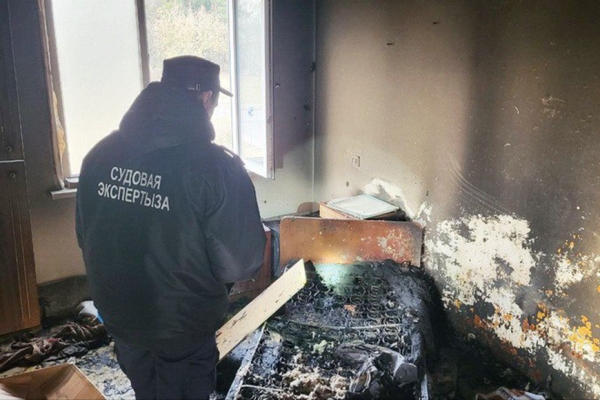 По отпечаткам найдут за 10 минут. Как работают судебные эксперты, рассказал председатель ГКСЭ