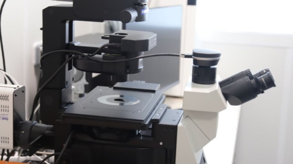 Производство фабрики клеток, или Как ученые сумели укротить рак и замедлить старение