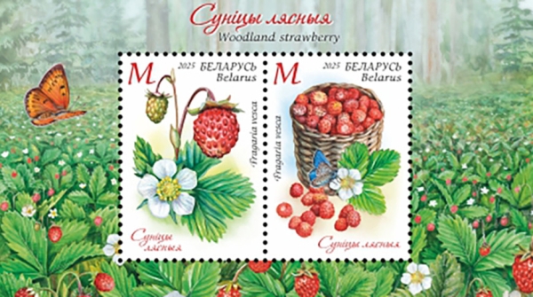 Минсвязи выпустит в обращение две почтовые марки и блок из серии "Земляника лесная"