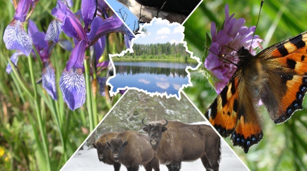 НАН Беларуси проводит Неделю родной природы