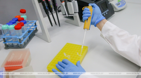 В Иране разрабатывают препарат от хронического эндометриоза через компьютерное моделирование