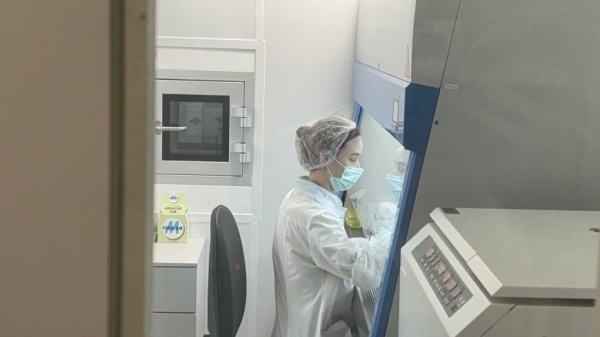 Производство фабрики клеток, или Как ученые сумели укротить рак и замедлить старение