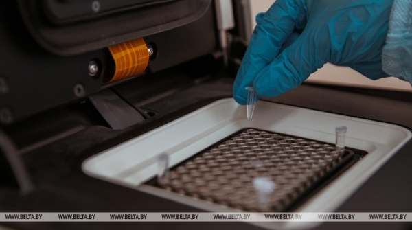 Вспышка холеры зафиксирована в столице Судана: за два дня погибли не менее 70 человек  