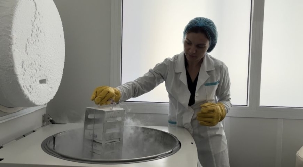 Производство фабрики клеток, или Как ученые сумели укротить рак и замедлить старение