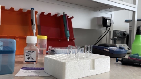 Производство фабрики клеток, или Как ученые сумели укротить рак и замедлить старение