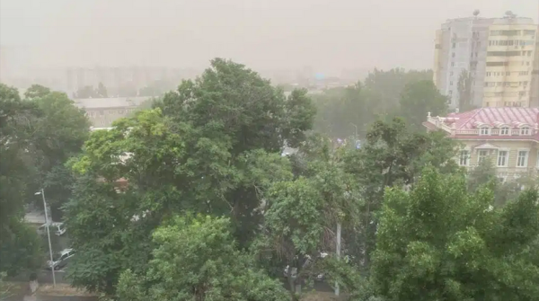 Ташкент накрыла сильная пыльная буря