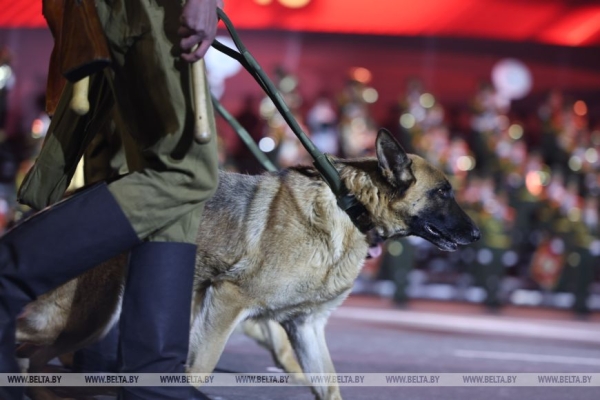 Генеральная репетиция военного парада к 80-летию Победы прошла у стелы "Минск - город-герой"