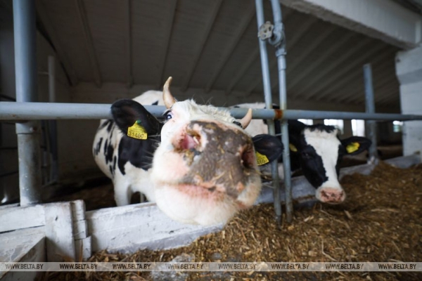 Лукашенко: надо ускоряться минимум в два раза